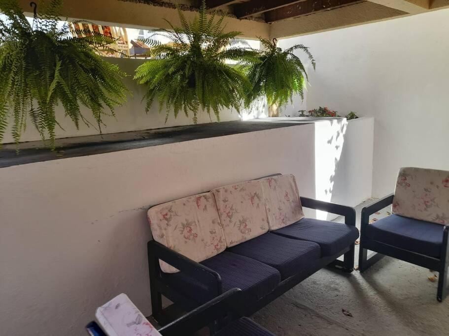 Casa Cerejeiras Holiday home