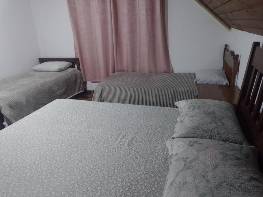 Casa Cerejeiras Holiday home